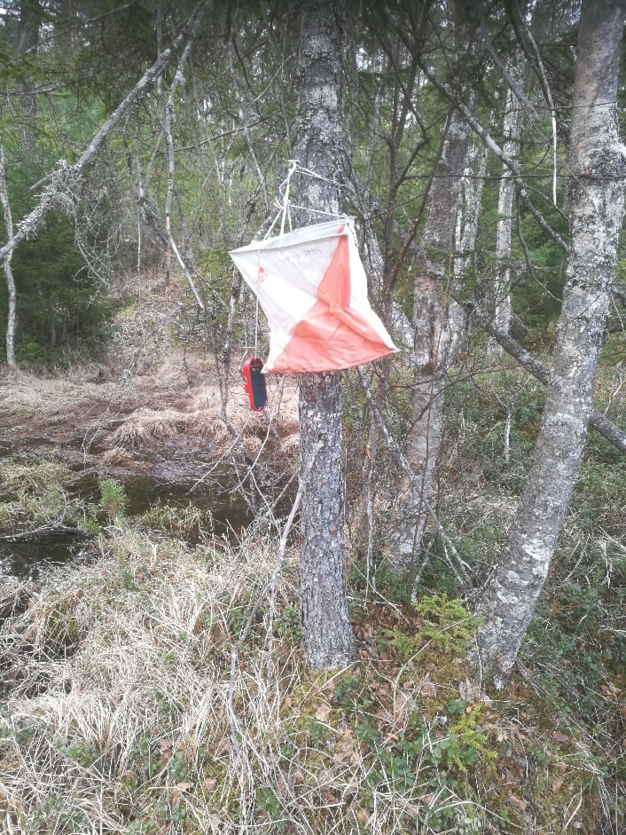 Treningsløp Skarratangen
